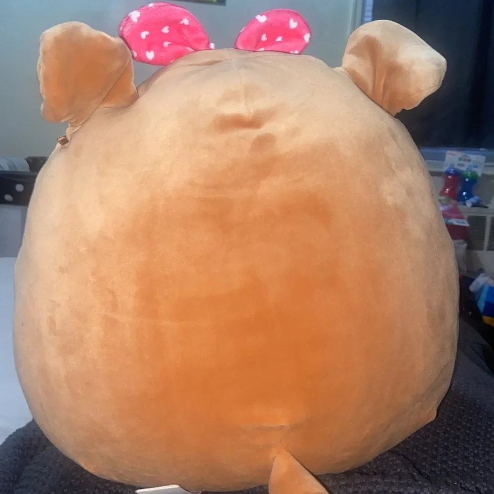 Squishmallow - Picture 3 of 3